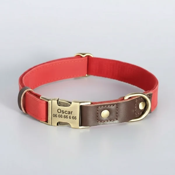 Collier Doux Personnalisable Pour Chien