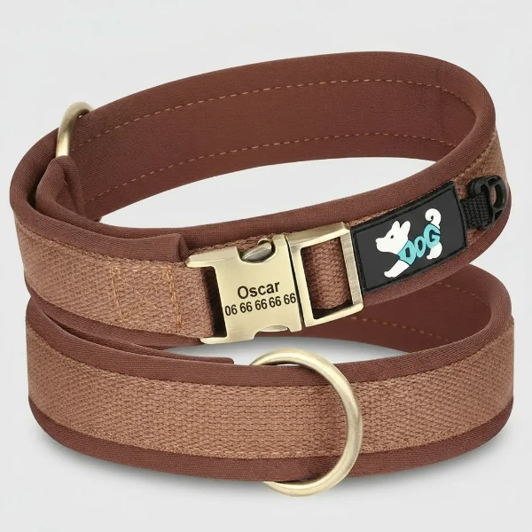 Collier Pour Chien Personnalisable Rembourré