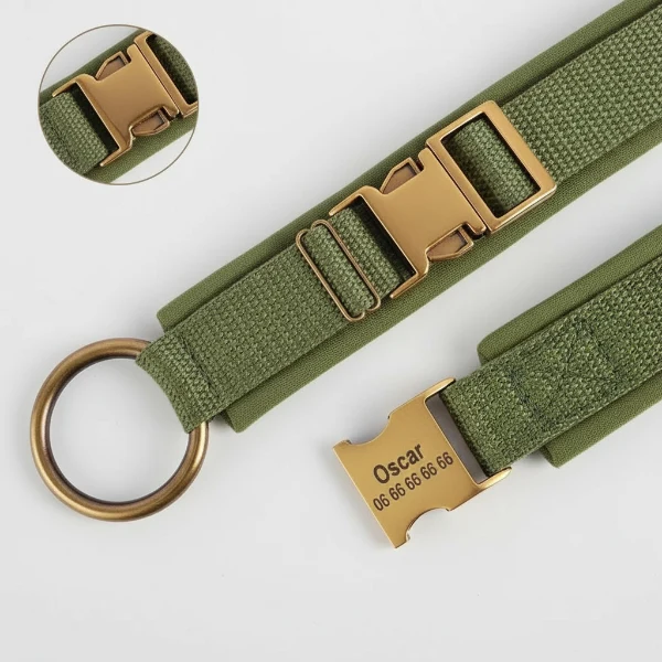 Collier Pour Chien Personnalisable Rembourré