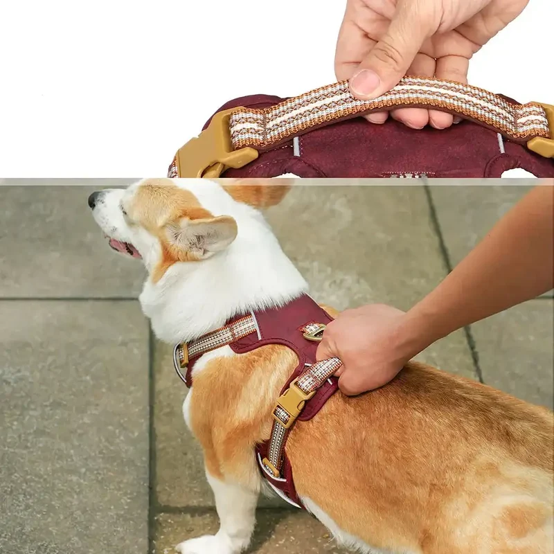 Harnais Réglable Pour Chien Moyen Et Grand