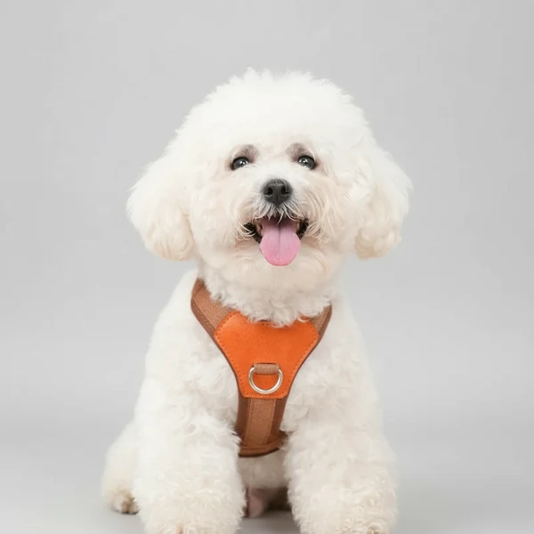 Harnais Robuste Pour Chien Ajustable