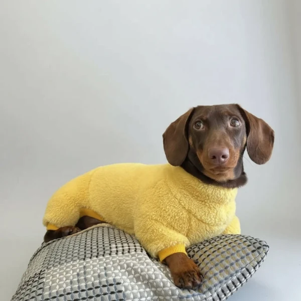 Pull Polaire Confortable Pour Teckel