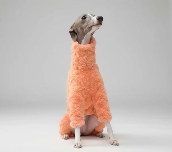 Pull Col Roulé En Polaire Pour Lévrier Et Whippet