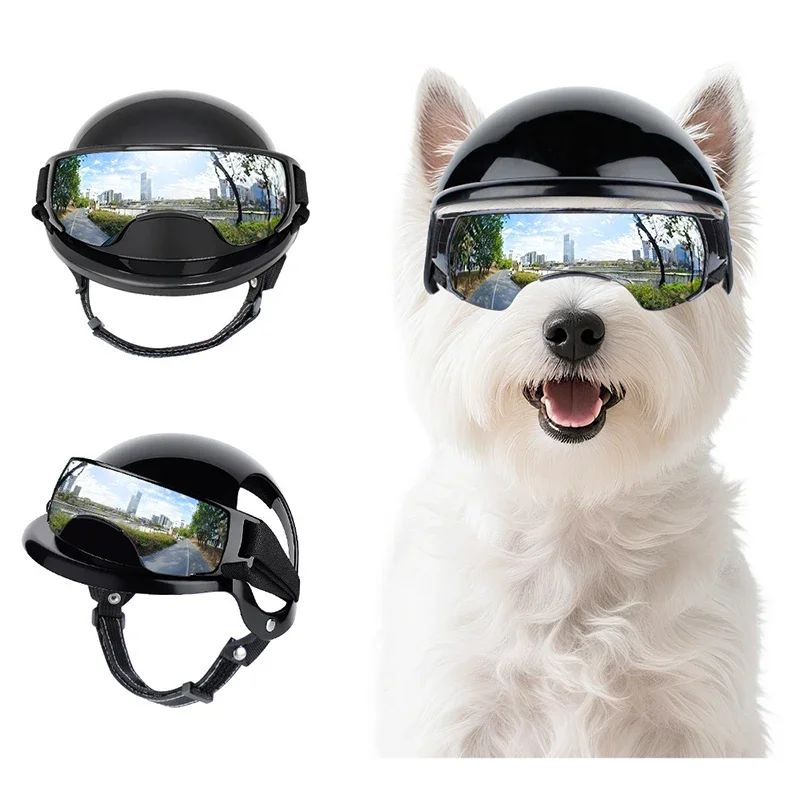 Casque Et Lunette De Soleil Pour Chien