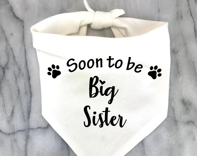 Bandana Bientôt Frère Ou Soeur Pour Chien
