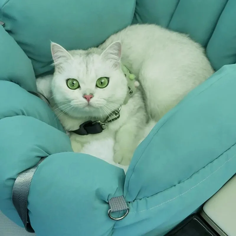 Siège voiture pour chat et chien - Sac transport sécurisé