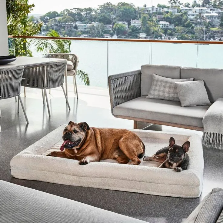 Lit confortable pour chien – coussin orthopédique en mousse mémoire