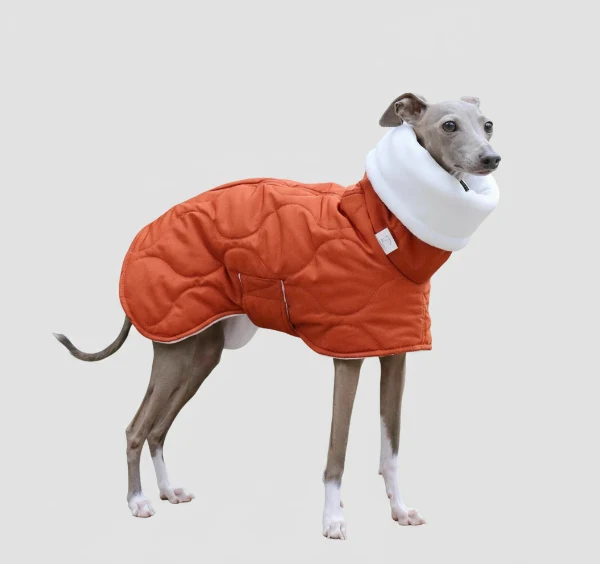Manteau Imperméable Hiver pour Lévrier Whippet – Coupe Ajustable