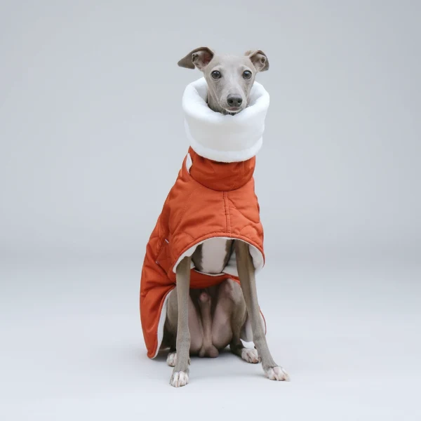 Manteau Imperméable Hiver pour Lévrier Whippet – Coupe Ajustable