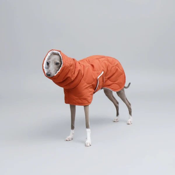 Manteau Imperméable Hiver pour Lévrier Whippet – Coupe Ajustable