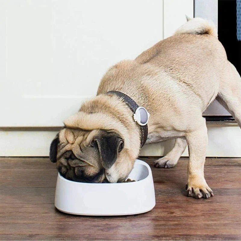 Gamelle intelligente pour chat et chien avec balance