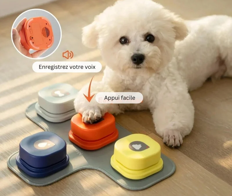 Jouet d'apprentissage vocal pour chien