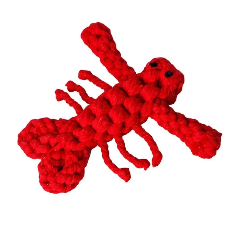 Jouets À Mâcher Pour Petit Et Moyen Chien