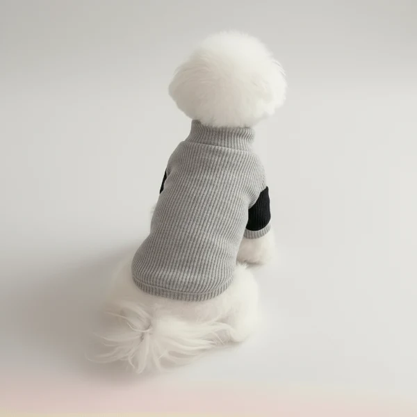 Sweat pour chien en coton : confortable et stylé