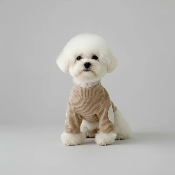 Sweat pour chien en coton : confortable et stylé