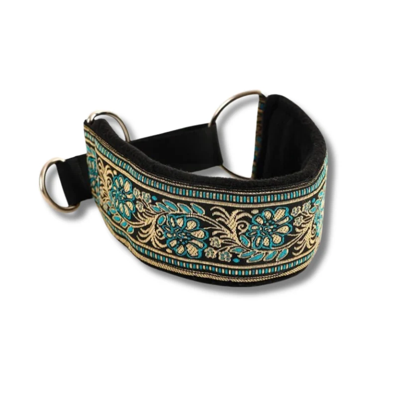 Collier Doux Et Confortable Pour Lévrier