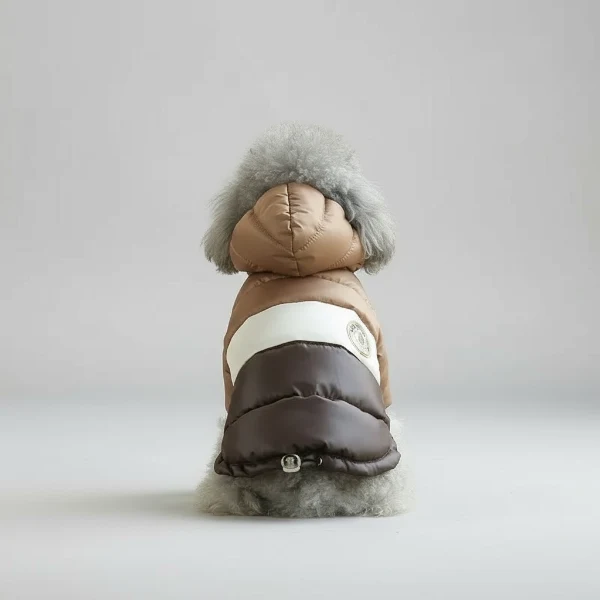 Veste Imperméable Avec Capuche Pour Chien