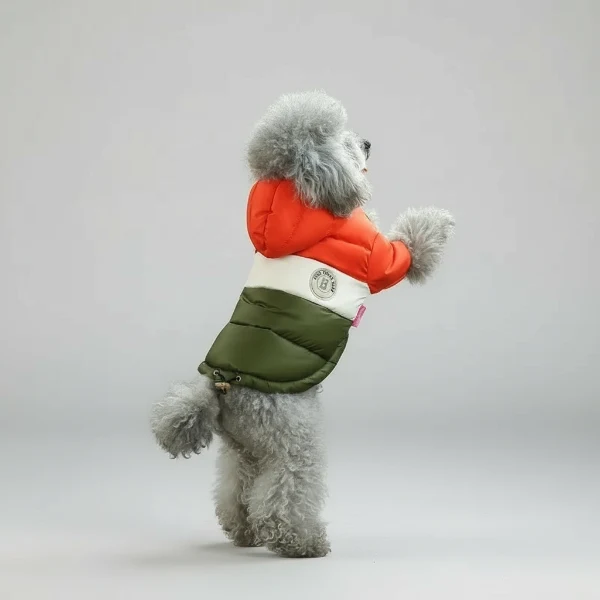 Veste Imperméable Avec Capuche Pour Chien