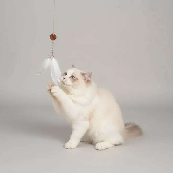 Jouet Interactif pour Chat