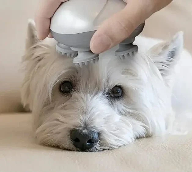Masseur Electrique Pour Chien Et Chat