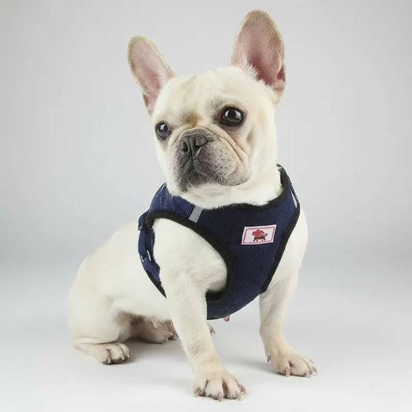 Harnais Pour Petit Chien Velours Côtelé