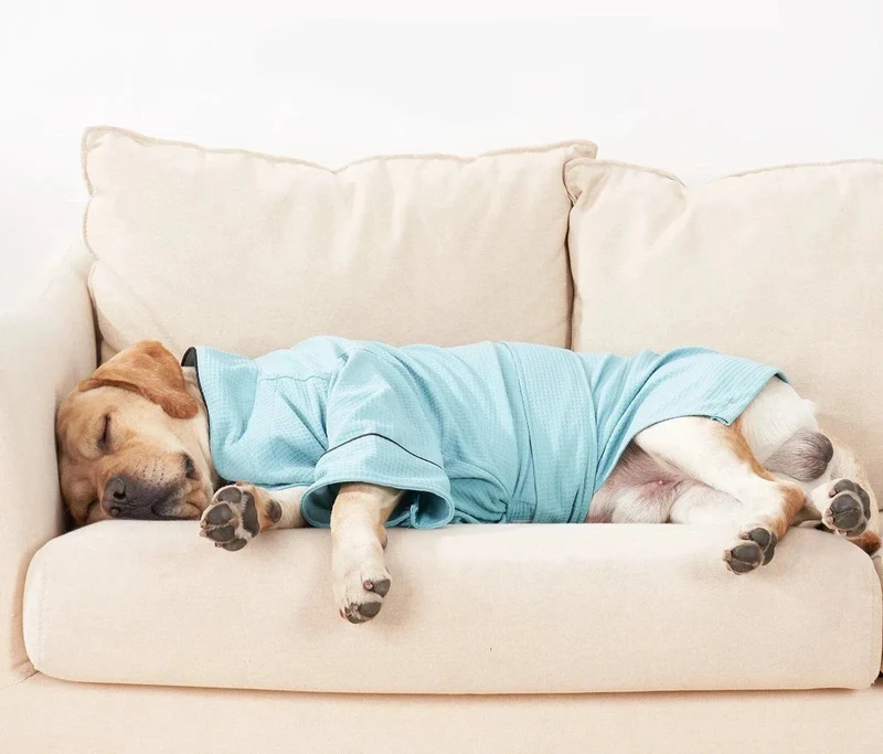 Peignoir Confortable Et Résistant Pour Chien