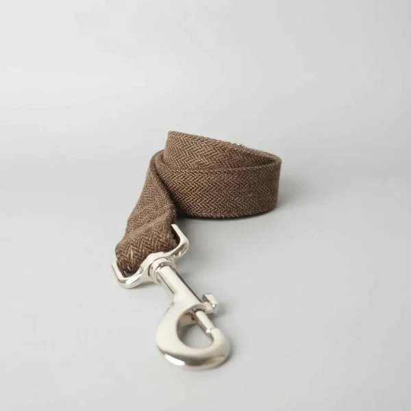 Collier Laisse Chien Personnalisé - Oscar et Plume