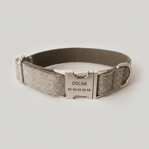 Collier Laisse Chien Personnalisé - Oscar et Plume