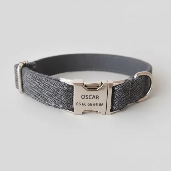 Collier Laisse Chien Personnalisé - Oscar et Plume