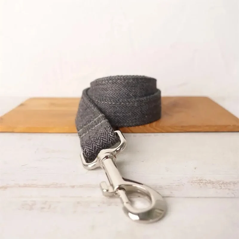 Collier Laisse Chien Personnalisé - Oscar et Plume