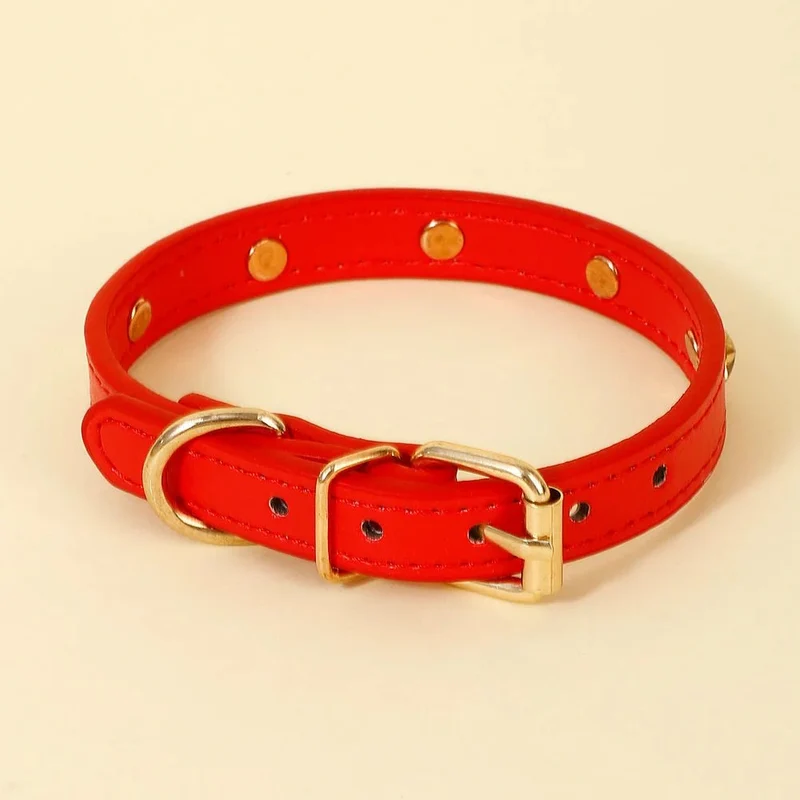 Collier Design Avec Rivets Pour Chat