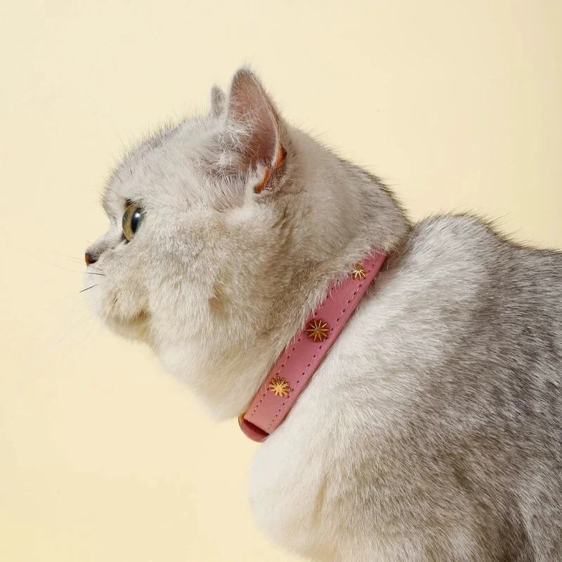 Collier Design Avec Rivets Pour Chat
