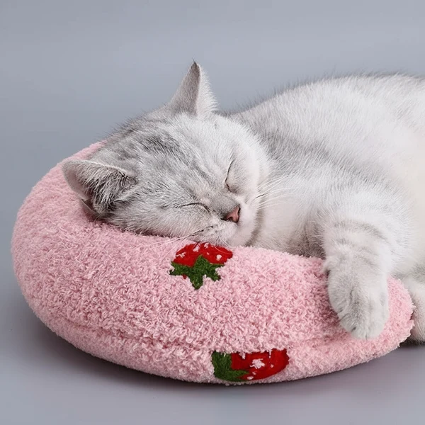 Oreiller Doux Calin Et Confort Pour Chat