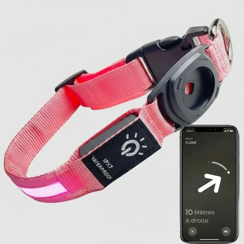 Collier Led Avec Emplacement Airtag Pour Chien