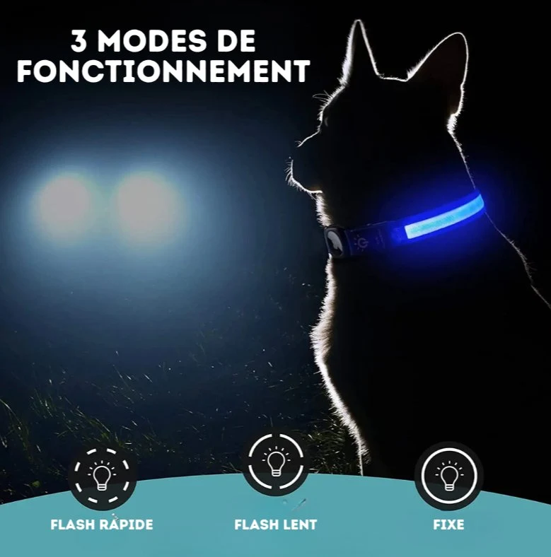 Collier Led Avec Emplacement Airtag Pour Chien