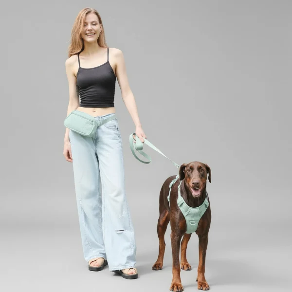 Harnais Velours Confort Et Résistant Pour Chien