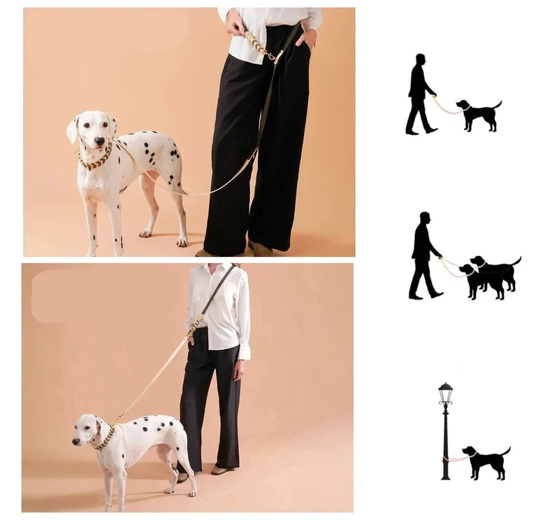 Laisse Mains Libres Multi-Fonction Pour Chien