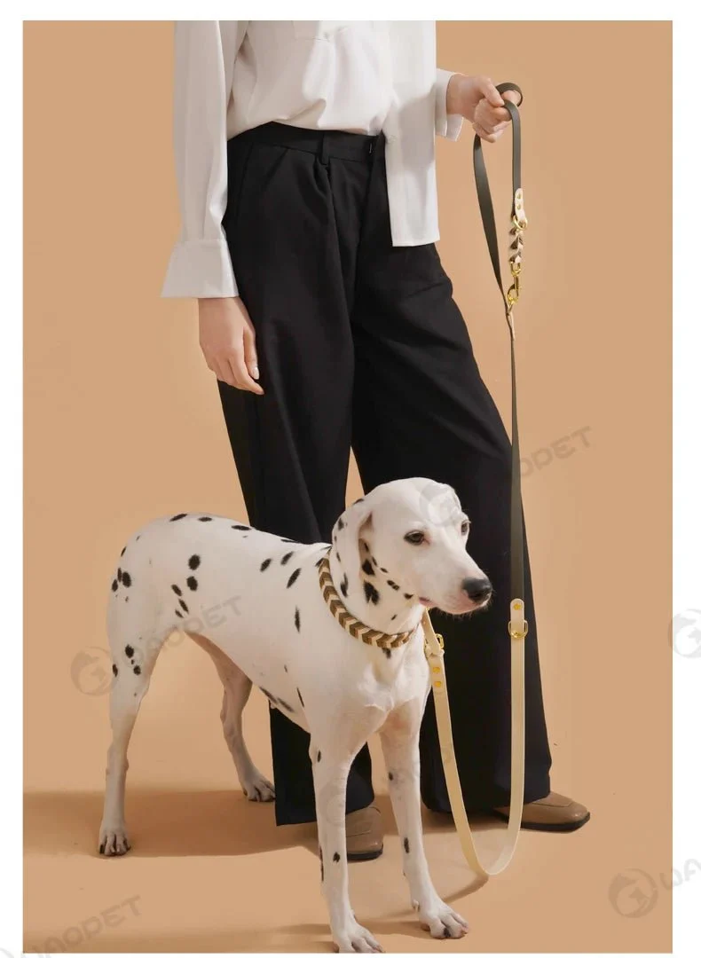 Laisse Mains Libres Multi-Fonction Pour Chien