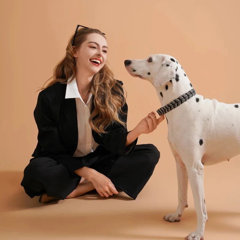 Collier Elégant En Fil Tressé Pour Chien