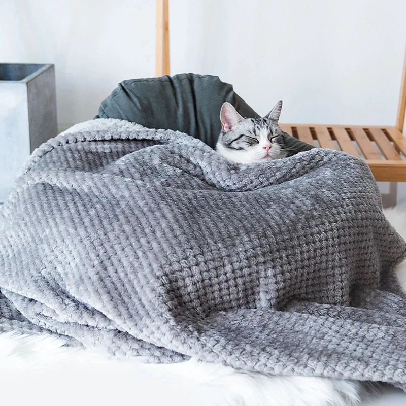 Couverture toute douce et moelleuse pour chat et chien - Les Bonnes Affaires
