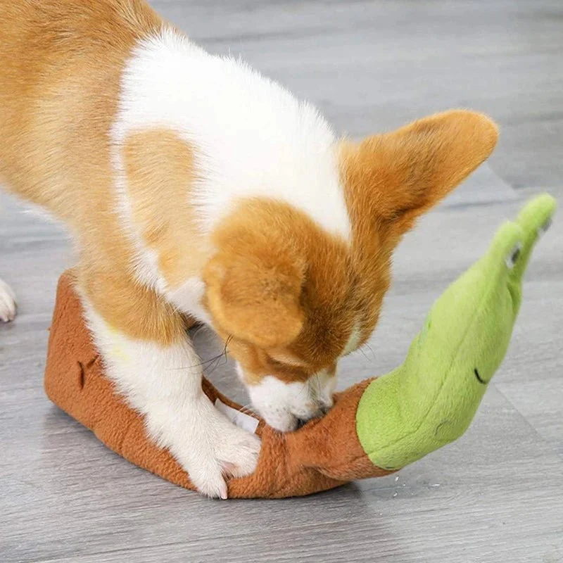 Jouet Olfactif Et Sonore Avec Distributeur de Croquettes Pour Chien