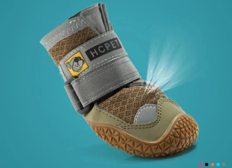 Chaussures Imperméables Toutes Saisons Pour Chien