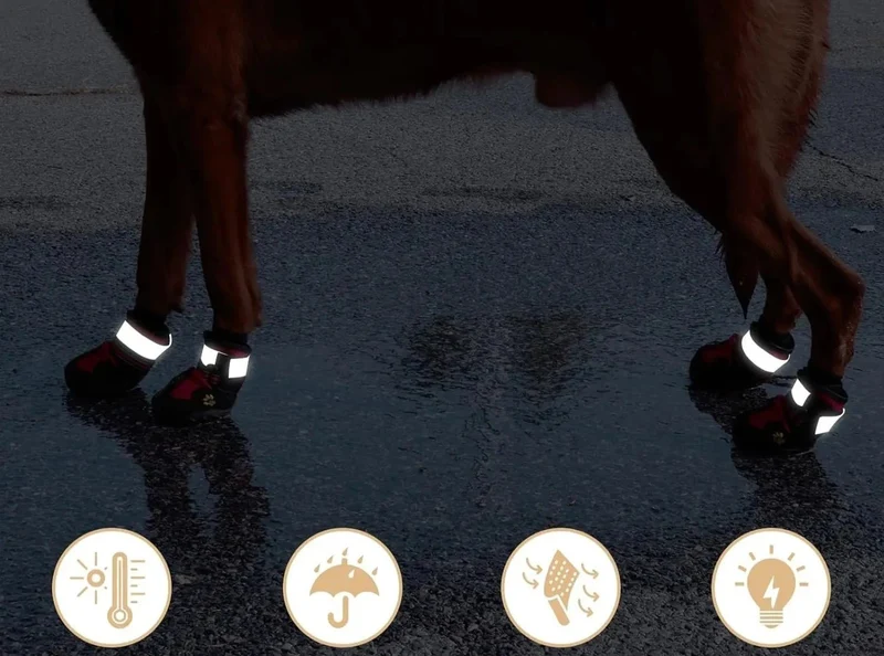 Chaussures Antidérapantes Pour Chien