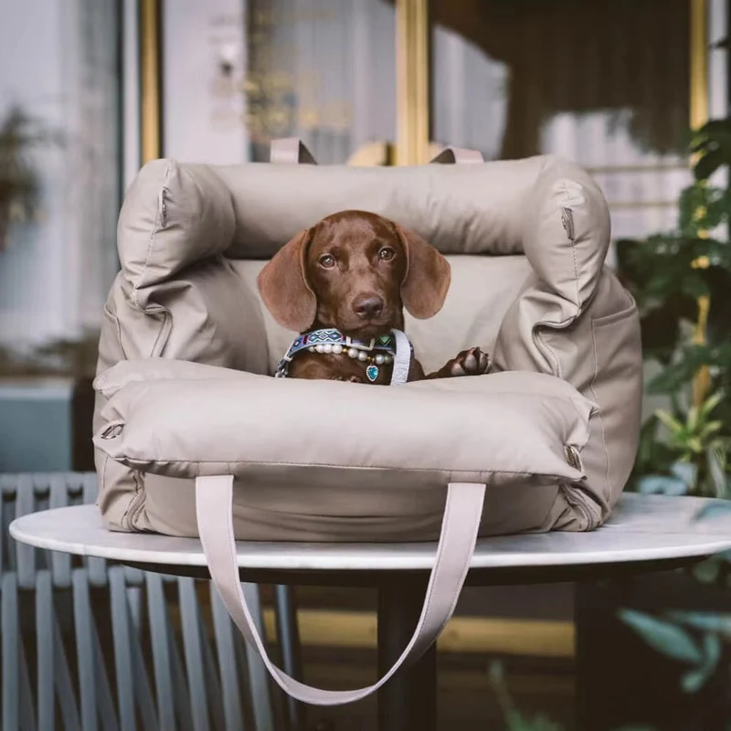 Sac De Transport Chien Résistant Design