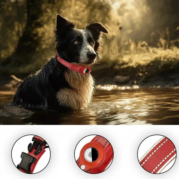 Collier Réfléchissant Chien Avec Emplacement AirTag