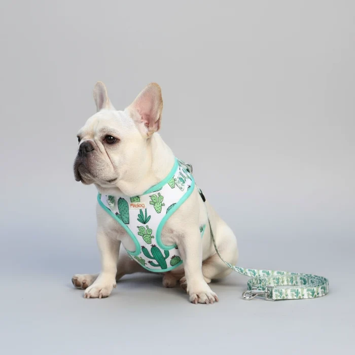 Ensemble harnais et laisse à motif pour chien