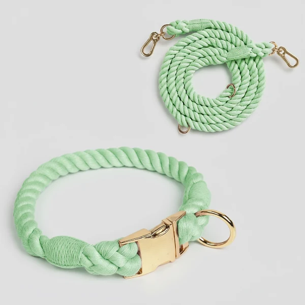 Collier Et Laisse En Coton Résistant