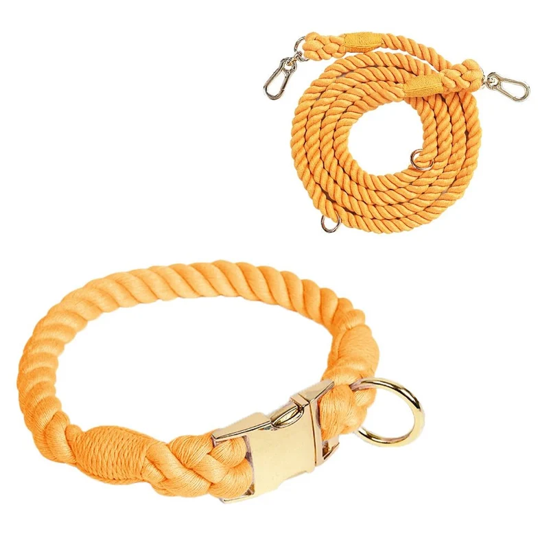 Collier Et Laisse En Coton Résistant