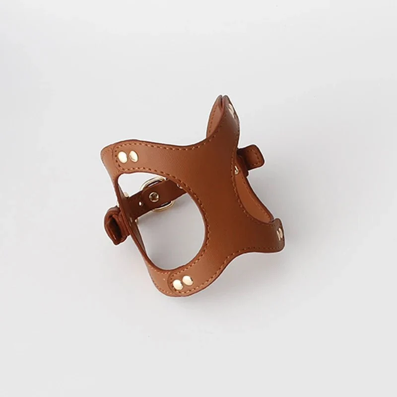 Harnais Pour Petit Chien Et Chat