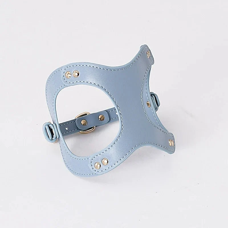 Harnais Pour Petit Chien Et Chat